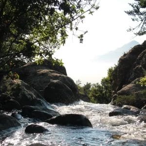 Stream flowing through rocky landscape, symbolizing natural growth and transformation, available at Elevate Your Organization's Culture and Performance With CEEK.